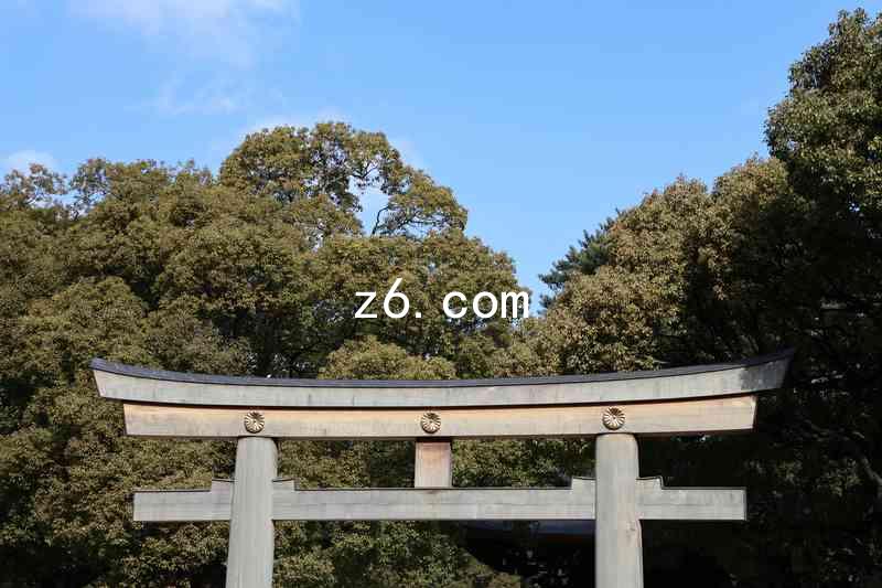 z6.com