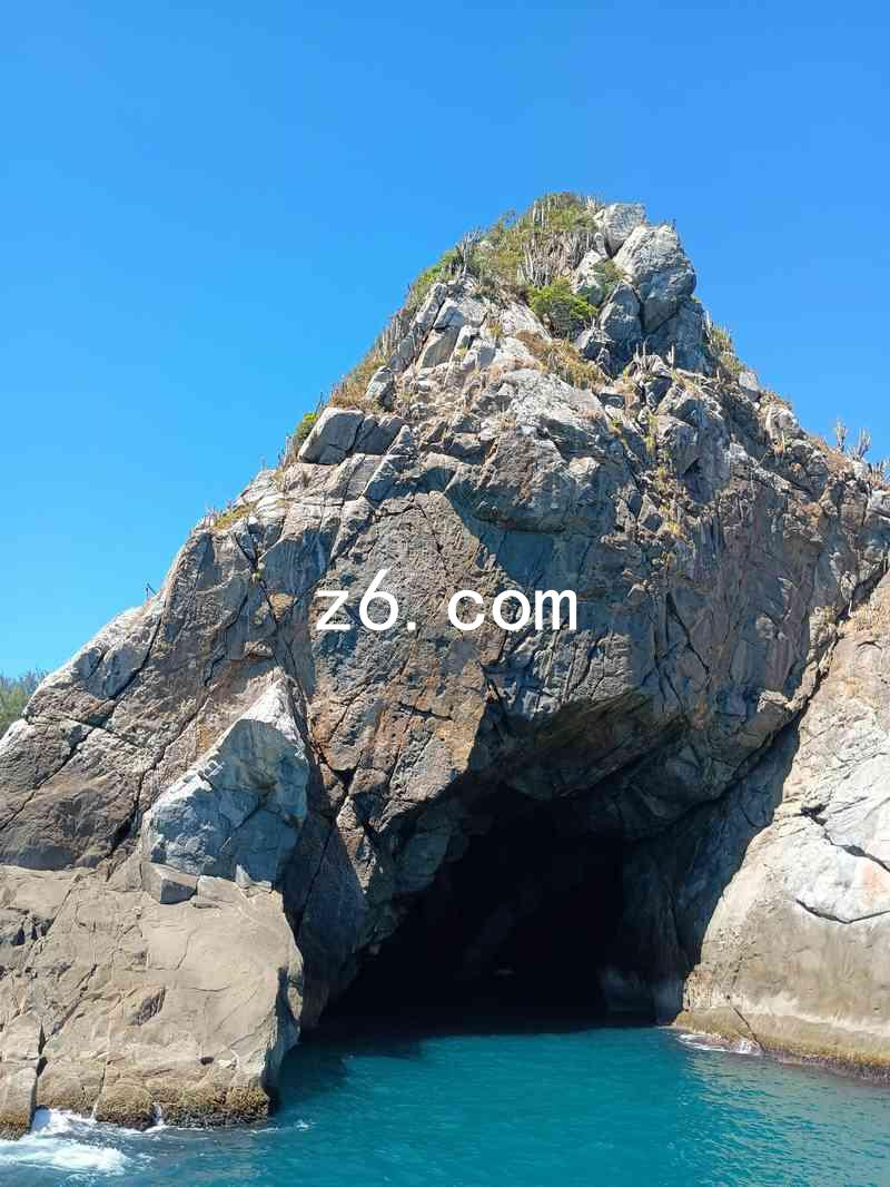 z6.com