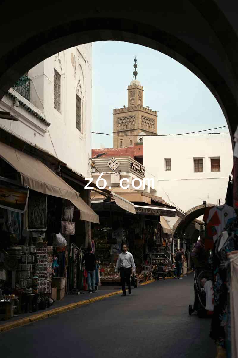 z6.com